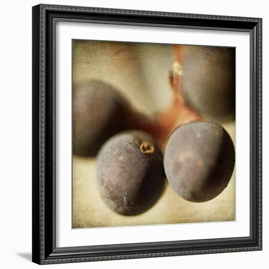 Berries 5-Jessica Rogers-Framed Giclee Print