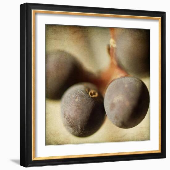 Berries 5-Jessica Rogers-Framed Giclee Print