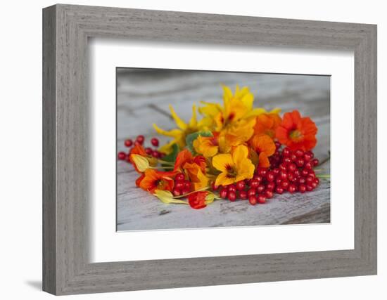 Berries, Blossoms, Nasturtium, Red, Yellow-Andrea Haase-Framed Photographic Print
