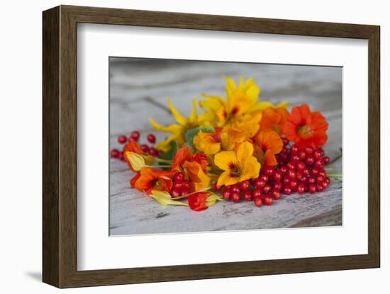 Berries, Blossoms, Nasturtium, Red, Yellow-Andrea Haase-Framed Photographic Print