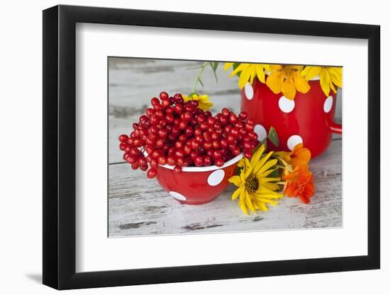 Berries, Blossoms, Red, Yellow, Enamel Dishes-Andrea Haase-Framed Photographic Print