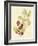 Berries & Blossoms VI-Curtis-Framed Art Print