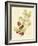 Berries & Blossoms VI-Curtis-Framed Art Print