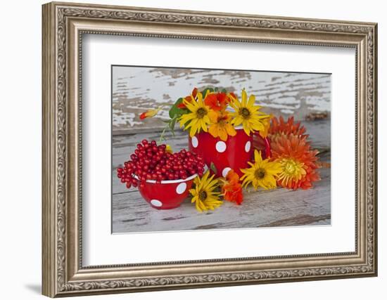 Berries, Flowers, Nasturtium, Red, Yellow-Andrea Haase-Framed Photographic Print