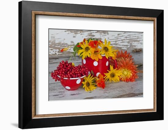 Berries, Flowers, Nasturtium, Red, Yellow-Andrea Haase-Framed Photographic Print