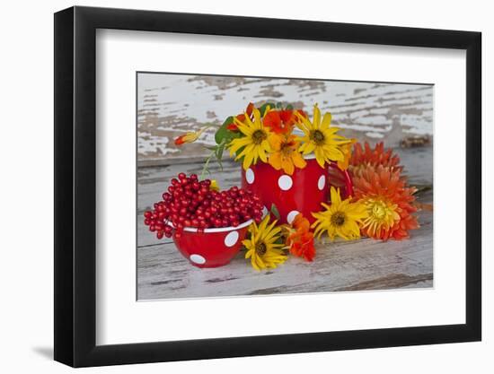 Berries, Flowers, Nasturtium, Red, Yellow-Andrea Haase-Framed Photographic Print