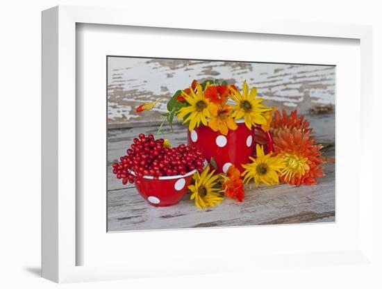 Berries, Flowers, Nasturtium, Red, Yellow-Andrea Haase-Framed Photographic Print