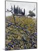 Berries In Autumn-Dorothy Berry-Lound-Mounted Giclee Print