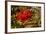 Berries Rowan-Charles Bowman-Framed Photographic Print