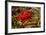 Berries Rowan-Charles Bowman-Framed Photographic Print