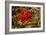 Berries Rowan-Charles Bowman-Framed Photographic Print