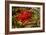 Berries Rowan-Charles Bowman-Framed Photographic Print