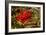 Berries Rowan-Charles Bowman-Framed Photographic Print