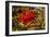 Berries Rowan-Charles Bowman-Framed Photographic Print