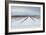 Berries under Snow I-Dana Styber-Framed Photographic Print