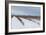 Berries under Snow II-Dana Styber-Framed Photographic Print