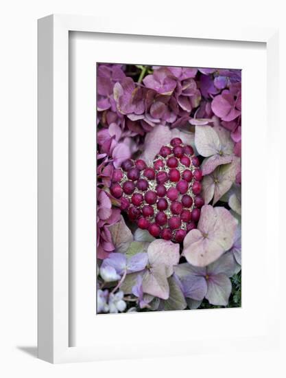 Berry Heart on Hydrangea Blossoms-Andrea Haase-Framed Photographic Print