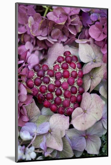 Berry Heart on Hydrangea Blossoms-Andrea Haase-Mounted Photographic Print