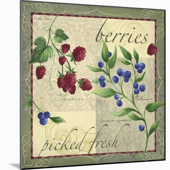 Berry Patch-Fiona Stokes-Gilbert-Mounted Giclee Print