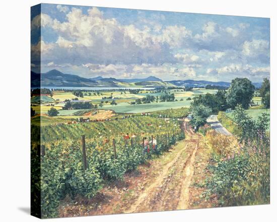 Berry Picking, Mains Of Grey-James McIntosh Patrick-Framed Stretched Canvas