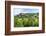 Berze Castle, Burgundy, France-Lisa S. Engelbrecht-Framed Photographic Print