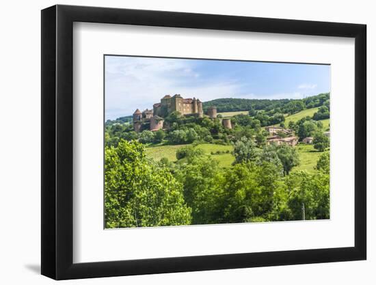 Berze Castle, Burgundy, France-Lisa S. Engelbrecht-Framed Photographic Print