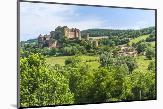 Berze Castle, Burgundy, France-Lisa S. Engelbrecht-Mounted Photographic Print