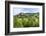 Berze Castle, Burgundy, France-Lisa S. Engelbrecht-Framed Photographic Print