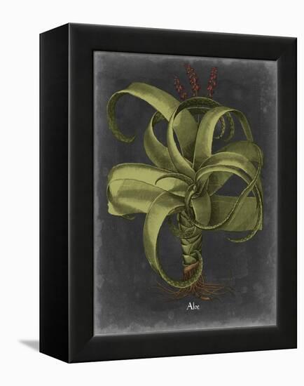 Besler Dramatique IV-Vision Studio-Framed Stretched Canvas