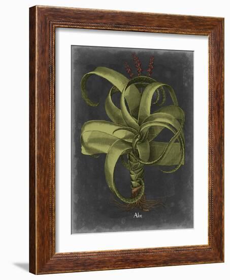 Besler Dramatique IV-Vision Studio-Framed Art Print