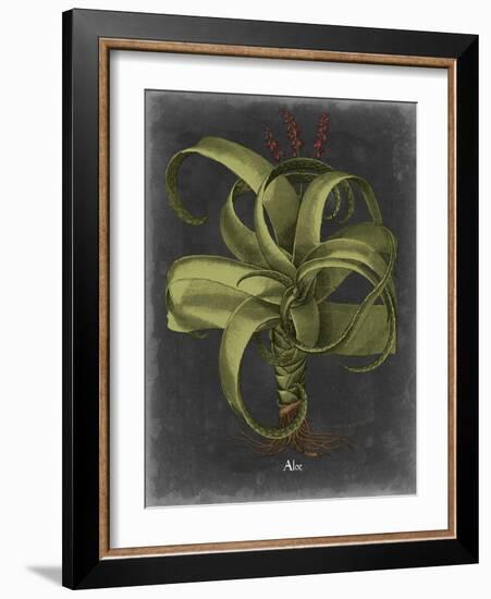 Besler Dramatique IV-Vision Studio-Framed Art Print