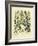 Besler Floral I-Besler Basilius-Framed Art Print