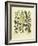 Besler Floral I-Besler Basilius-Framed Art Print