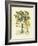 Besler Floral II-Besler Basilius-Framed Art Print