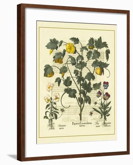 Besler Floral VI-Besler Basilius-Framed Art Print