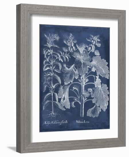 Besler Leaves in Indigo I-Vision Studio-Framed Art Print