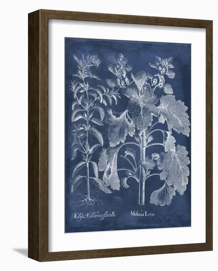 Besler Leaves in Indigo I-Vision Studio-Framed Art Print