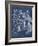 Besler Leaves in Indigo I-Vision Studio-Framed Art Print