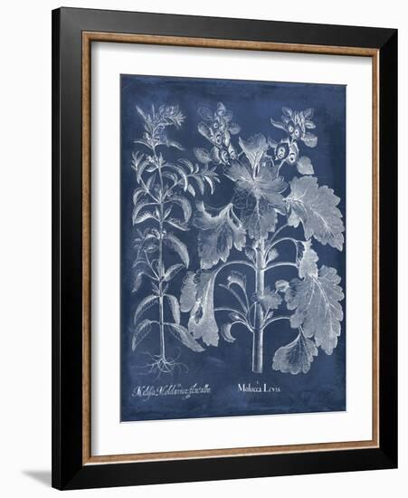 Besler Leaves in Indigo I-Vision Studio-Framed Art Print