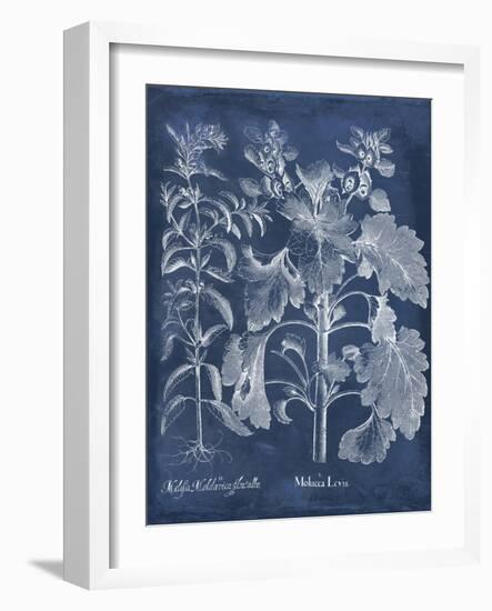 Besler Leaves in Indigo I-Vision Studio-Framed Art Print