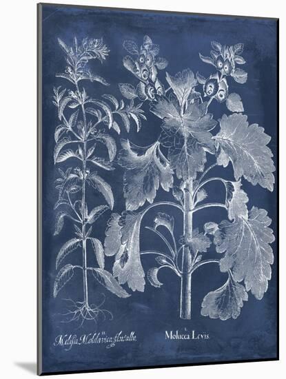 Besler Leaves in Indigo I-Vision Studio-Mounted Art Print