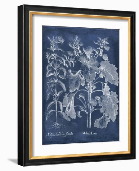 Besler Leaves in Indigo I-Vision Studio-Framed Art Print