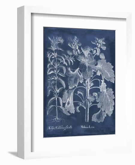 Besler Leaves in Indigo I-Vision Studio-Framed Art Print