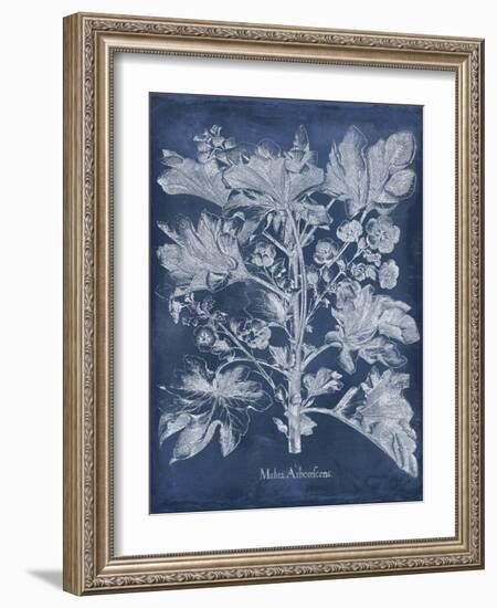 Besler Leaves in Indigo II-Vision Studio-Framed Art Print