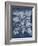 Besler Leaves in Indigo II-Vision Studio-Framed Art Print