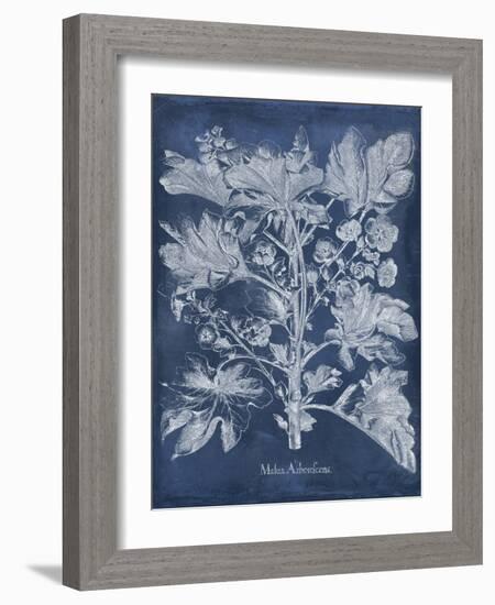 Besler Leaves in Indigo II-Vision Studio-Framed Art Print