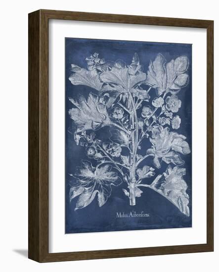 Besler Leaves in Indigo II-Vision Studio-Framed Art Print