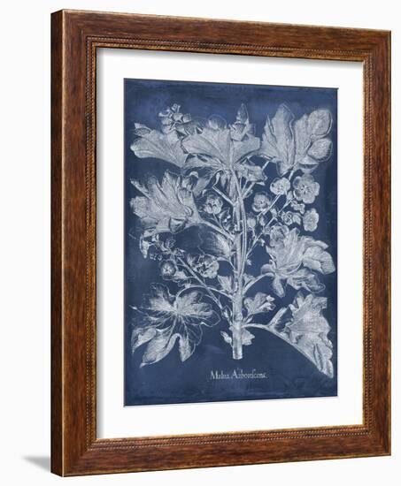 Besler Leaves in Indigo II-Vision Studio-Framed Art Print