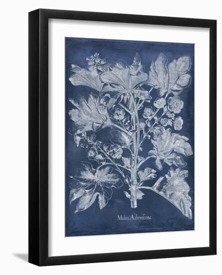 Besler Leaves in Indigo II-Vision Studio-Framed Art Print