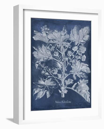 Besler Leaves in Indigo II-Vision Studio-Framed Art Print